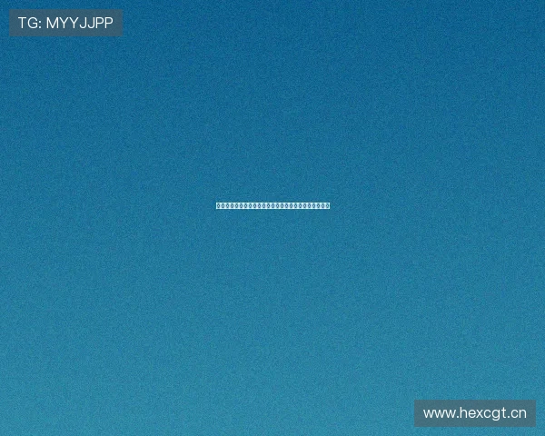 拜仁与弗赖堡争冠之路:德国足球强队的对决与未来展望 拜仁与弗赖堡争冠之路:德国足球强队的对决与未来展望